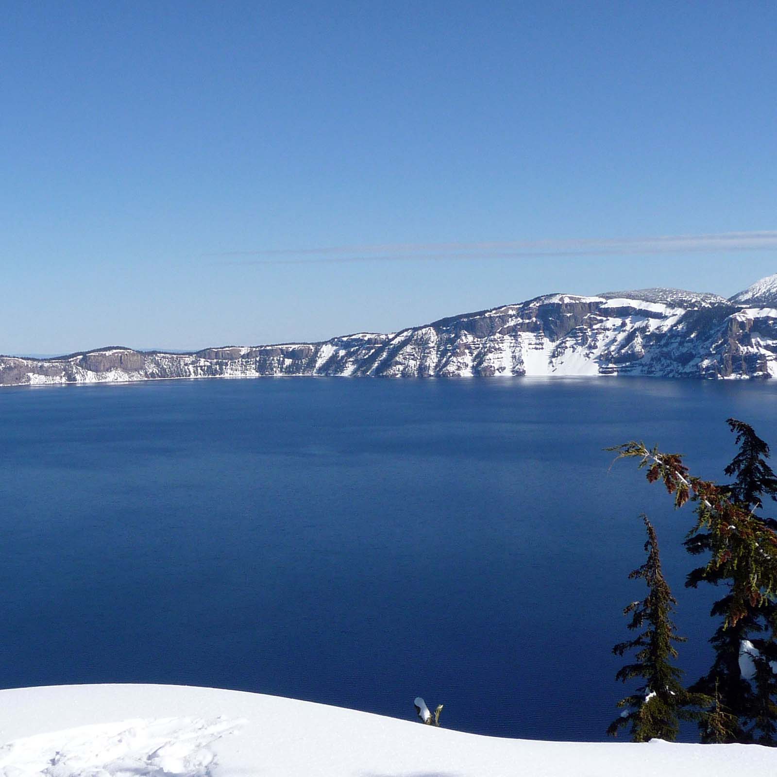 Carpet Cleaning Biodegradable Carpet Cleaners Medford Oregon Ashland