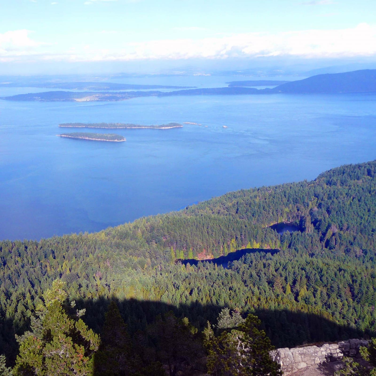 Carpet Cleaning Biodegradable Carpet Cleaners Medford Oregon Ashland